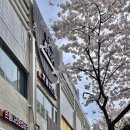 손톱나라눈썹공주 - 남동구 담방로21번길 61 | 손톱나라눈썹공주