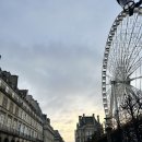 라벤더민박 이미지