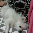 빈이맘마 이미지