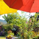 나빌레라 스테이 이미지