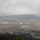 성모사 이미지