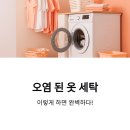 세탁의모든것 이미지