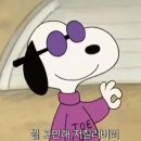 산남 패밀리 복싱 GYM 이미지