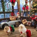 라벤더하우스 이미지