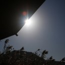 송산낚시 이미지