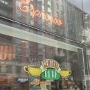 [미국동부] 뉴욕 미드 프렌즈 익스피리언스 후기 (내가 모니카 집에 오다니...)