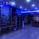 킹덤스포렉스 이미지