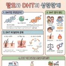 네오나오 김포점