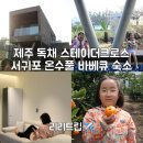 제주 안덕농업협동조합창천지점 | 제주 독채 풀빌라 스테이더크로스 서귀포 온수풀 바베큐 무료 숙소
