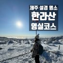 대정맑은해수사우나 | 초보 등산객도 가능!한라산 영실코스 윗세오름 설경 후기