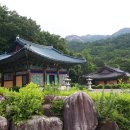 신흥사 이미지