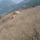 천주산 등산로 이미지