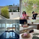 스테이 밤부 이미지