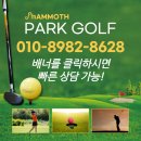 파크골프기초튼튼반 | 파크골프 장비 고민 끝에 찾은 안정감 있는 선택
