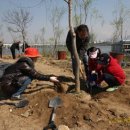 나무를심는사람들. 이미지