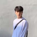 고도리몰 이미지