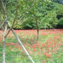 함평해수찜 이미지