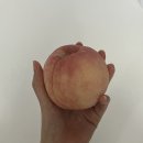 고읍농장 | 계절을 기다리며