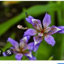 대청농협 이미지