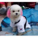 한누리 태권도 이미지