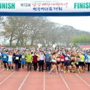 군청 메타세콰이어길 이미지