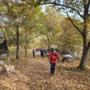 (전북 순창) 단풍명산 강천산과 광덕산 일원 2산5봉 환종주 (22.11.6.일) 이미지