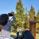 동읍672 | 가을에 더 이쁜 창원 단감 테마공원+45개월