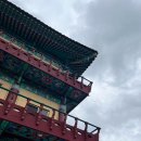 한티1477 | 인생 첫 김밥 프로젝트와 단풍 드라이브🍁🍂