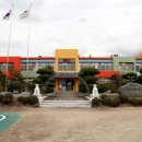 영천 자천초교 영천뉴스24