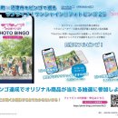 라이브빙고 이미지