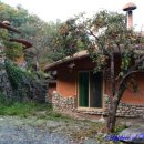 무릉도원 펜션 이미지