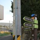 66여행사