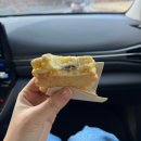 갓바위횟집 | 목포, 진도 2박 3일 황조지 여행이 아닌 걸스파티 💗