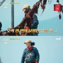 언니네 이미지