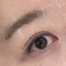 강남대로 577 | 논현 속눈썹연장 잘하는 곳, 라움유 LED속눈썹 강남 논현점 클래식 연장 후기