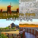 [생태탐방] 소래포구 | 인천 둘레길 데이트 코스 소래습지생태공원 갯벌체험