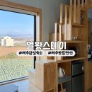 유니크펜션 | [제주] 한림 제주감성펜션 | 멀왓스테이 : 멀3호 객실 후기