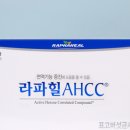 라파힐 이미지