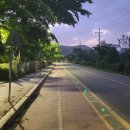 광교산로 이미지