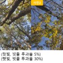 홍천국유림관리소 이미지