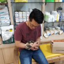 신내동물병원 이미지