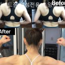 비비드 휘트니스 네이버블로그
