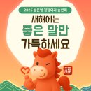 송준영정형외과의원 네이버블로그