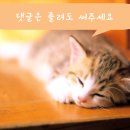해피바이러스