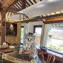 해랑.대게횟집 | 강릉 가족여행 해랑대게횟집 추천 맛집