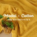 이불공장아들