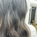 엘시크 이미지