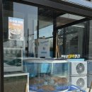 아대박 | 거북섬횟집 대박횟집 대박수산 후기