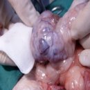 강앤정동물병원 이미지