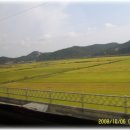 남도의 향기 이미지